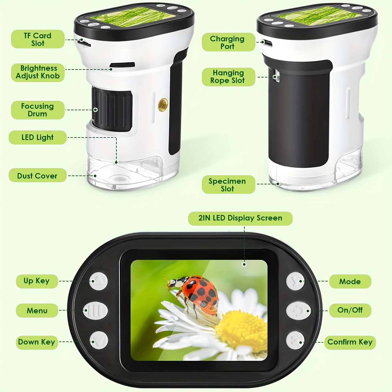 Kit de microscope biologique p - Kids Toys Under 200 avis et prix